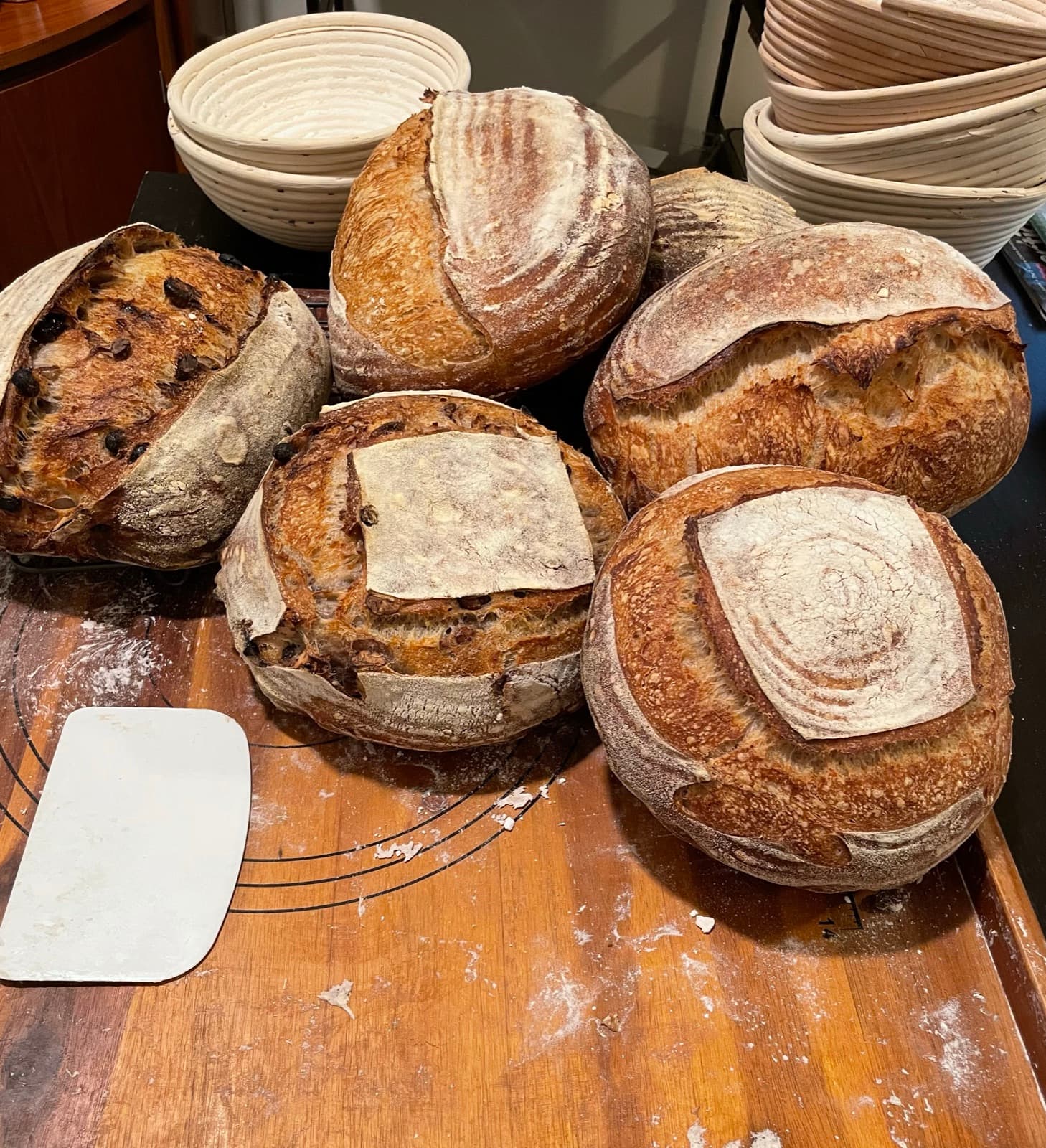A batch of sourdough loaves on a wood board, with a proofing basket behind them.